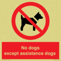 no-dogs-except-assistance-dogs~